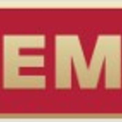 TEMS Award Pin-  Enamel 1 3/8x3/8 Thumbnail