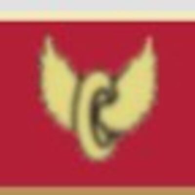 Motor Wings Award Pin-  l 1 3/8x3/8 Thumbnail