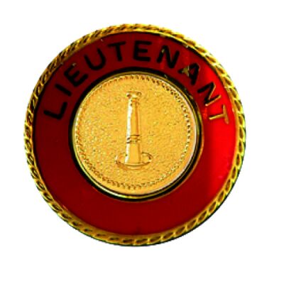 LT Collar Pin Gold  Thumbnail