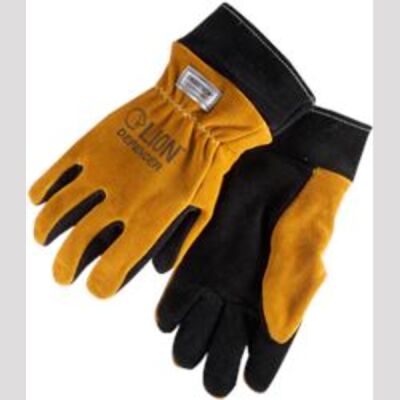 Defender with Gauntlet  Thumbnail