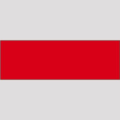 RTF BAG TAG w/VELCRO 5.75X1.9 Thumbnail