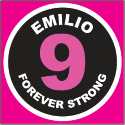Bedford Park District Emilio Strong Patch  Thumbnail
